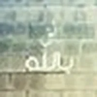 معن مراشده
