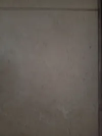 سوسو خالد