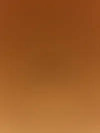 ضياء البرغوثي