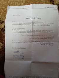 علاء الريماوي