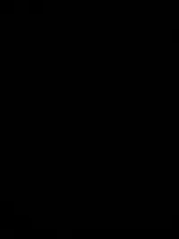 Samma Samaa