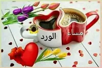 كمال محمد جابر