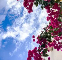 أبل ايفون 11 128 جيجابايت أسود