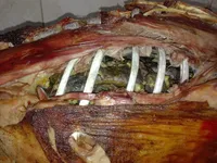 ايمان نصار