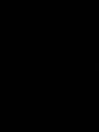 روند موفق الشريف