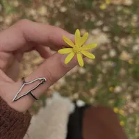 سناء  عليوي 