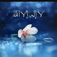 مهند القيسي