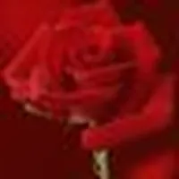 Apple ‏iPhone 11 Pro ‏512 GB ‏Pearl White