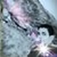 Osama Zaid