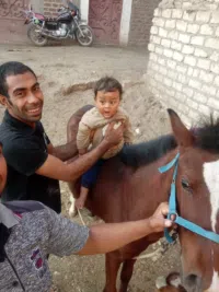هشام محمد 
