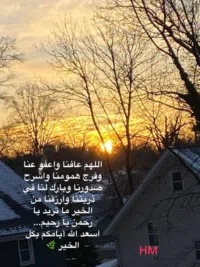 طارق الداية