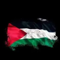 Pharmacist -Amman