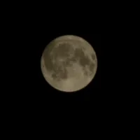 Customer Care Representative -Ramallah and Al-Bireh