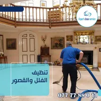 Experts clean Service