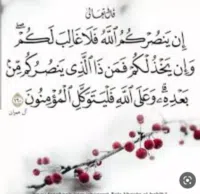 هديل 