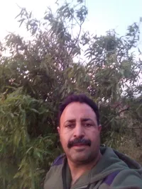 نايل العمري