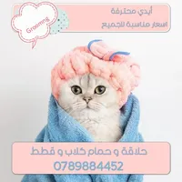 Teller -Amman