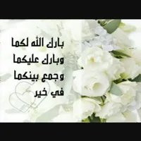 محمود المصري