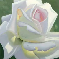 ابو فارس احمد