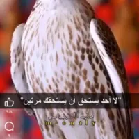 Mafraq ‏Rhab