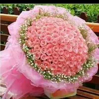 ابوقيس ابوالخير