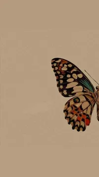 Fatima Bsharat