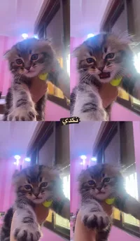 ،،