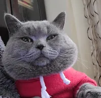 أبل ايفون 13 128 جيجابايت أبيض