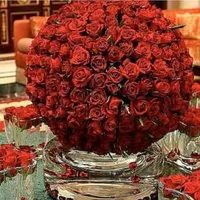 شام يوسف