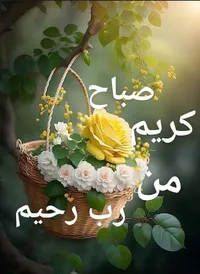 مها  يغمور
