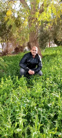 علي السردي
