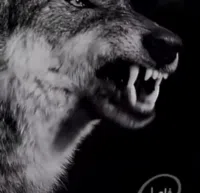 فولكسفاغن ‏جيتا ‏SE ‏2013