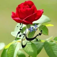 تويوتا ‏كورولا ‏GLI ‏2003
