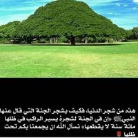 ابو فارس الهزازي