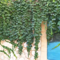 فهد محمد