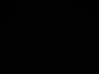 ياسين الشوبكي