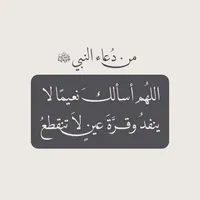 Zeno Abood