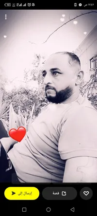 مراد