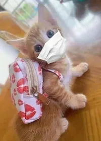 Nour