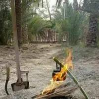 Hyundai ‏Elantra ‏GLS ‏2024