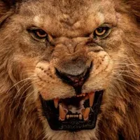 ريلمي ‏C67 ‏256 جيجابايت ‏أخضر