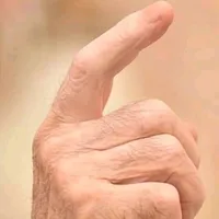 محمد أنور الذبيان