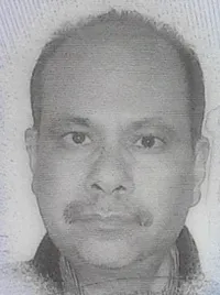 Ali