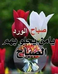 محمد جعفري