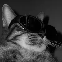 Huawei ‏Pura 80 ‏256 GB ‏Black