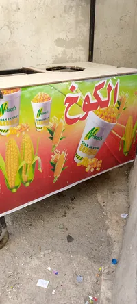 بسطه ذره وبطاطا