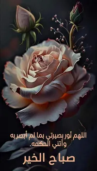 هونور ‏هونور X8a ‏256 جيجابايت ‏لؤلؤي