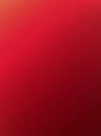 مجدي  خلايلة 