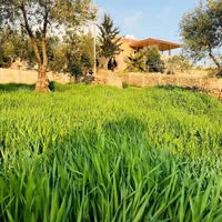 Office Manager -Zarqa