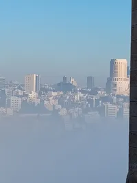 شادي